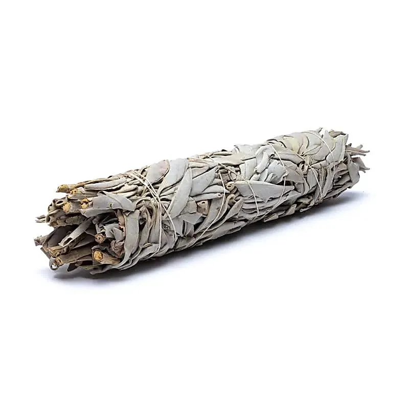 Sauge blanche L | 110 à 140g | 23 x 5 cm Astroia