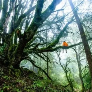 Galet balade en êt Astuces Nature