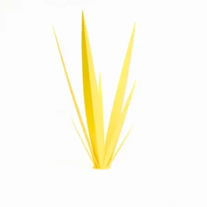 Aube Végétale Jaune