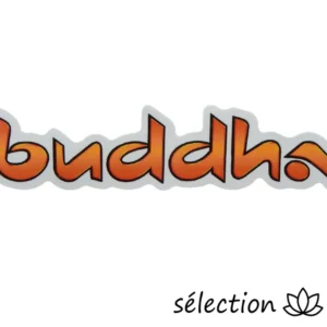 Autocollant bouddha 31