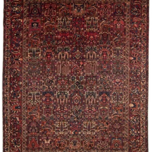 Bakhtiar oriental