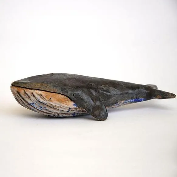 Baleine bleue