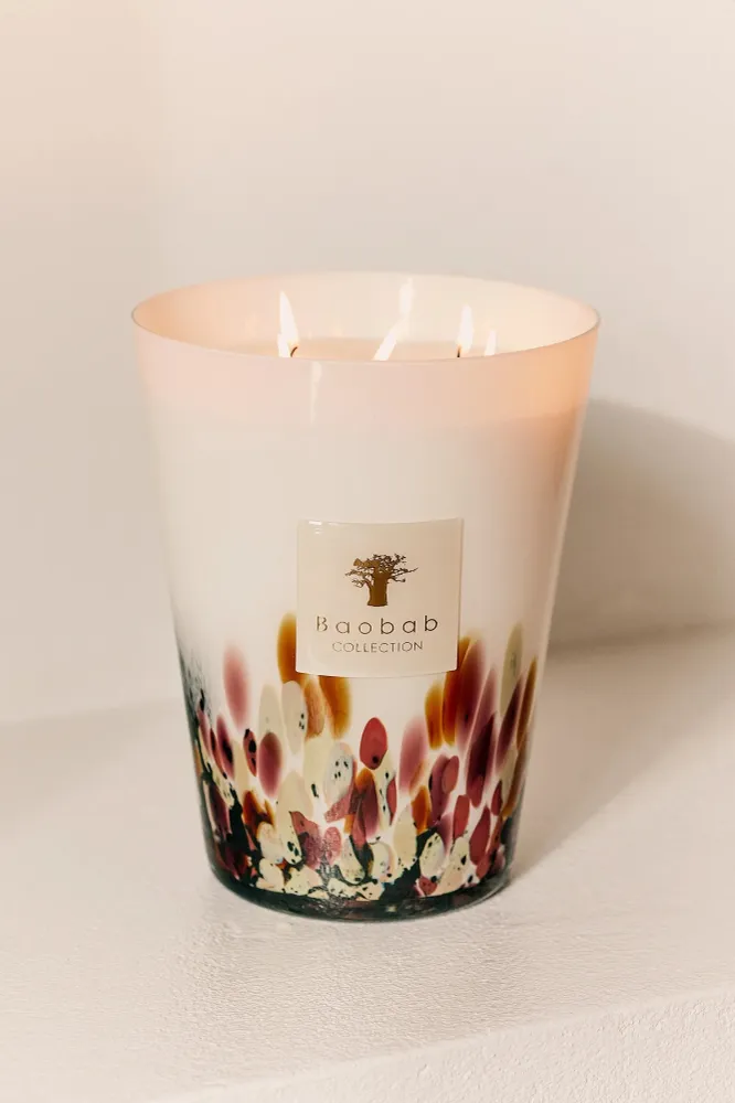 Bougie Parfumée Baobab - Rainforest Tanjung
