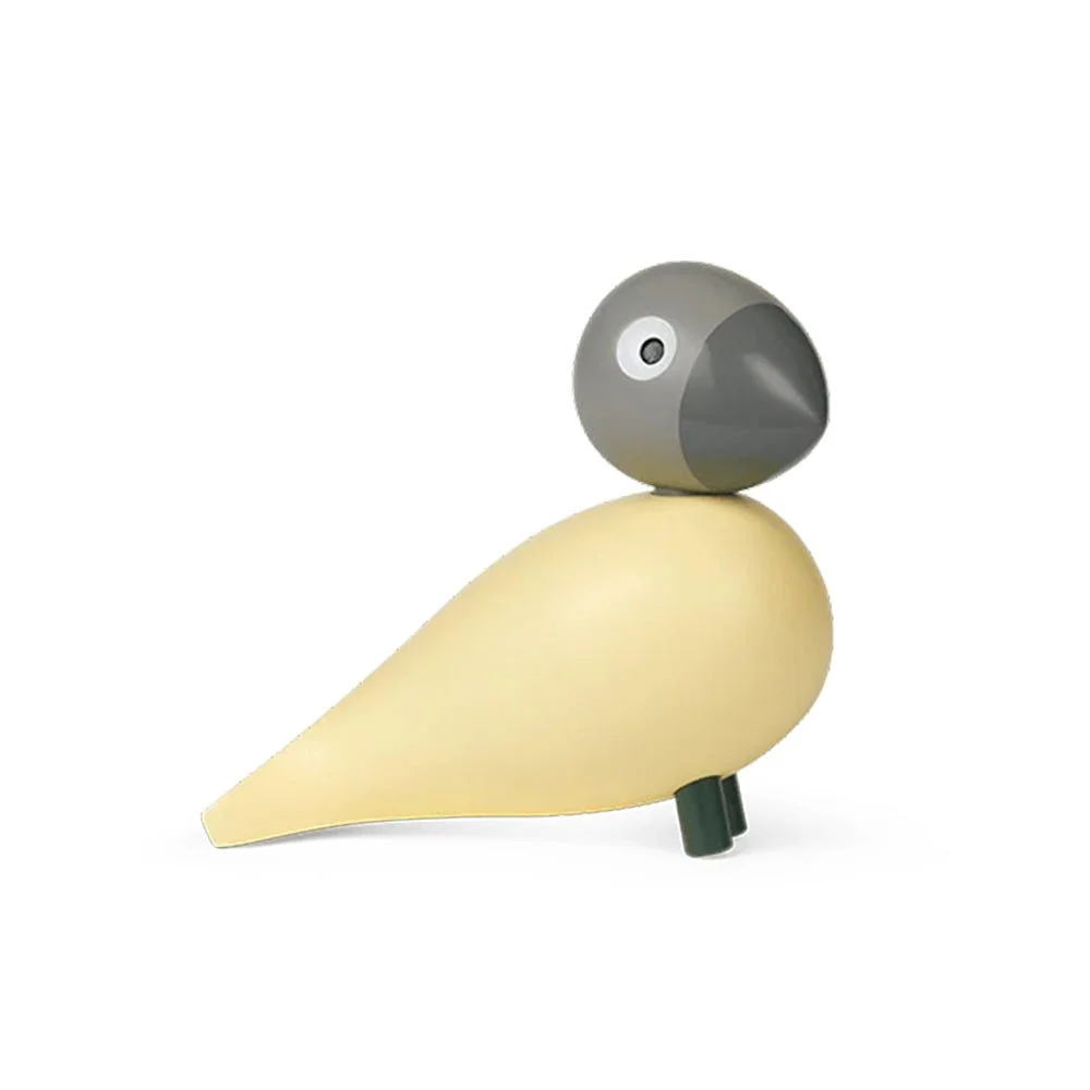 Bel oiseau année 2025
