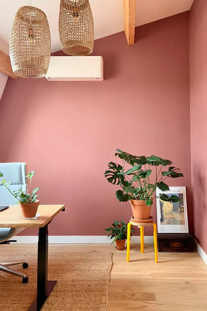 Bella terra 10L
