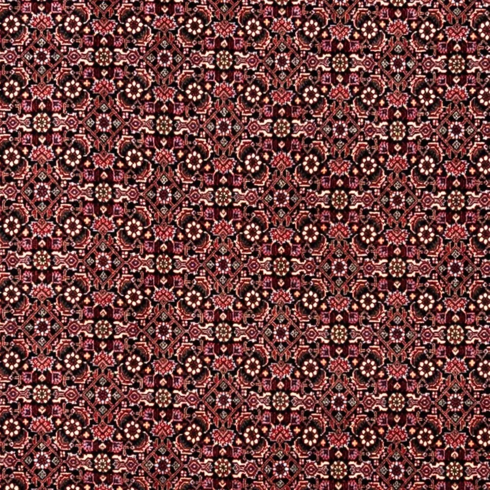 Bidjar - Takab Tapis 346x250cm - Tapis persan