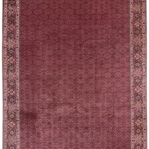 Bijar oriental