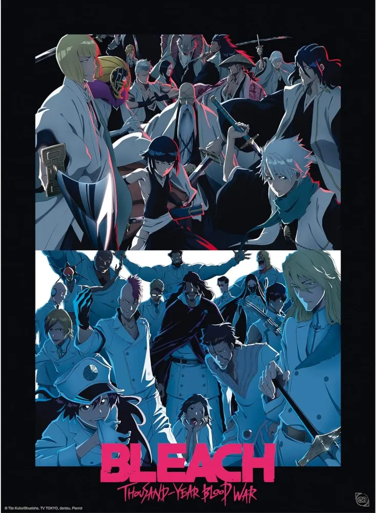 Bleach - Poster Shinigami VS Quincy