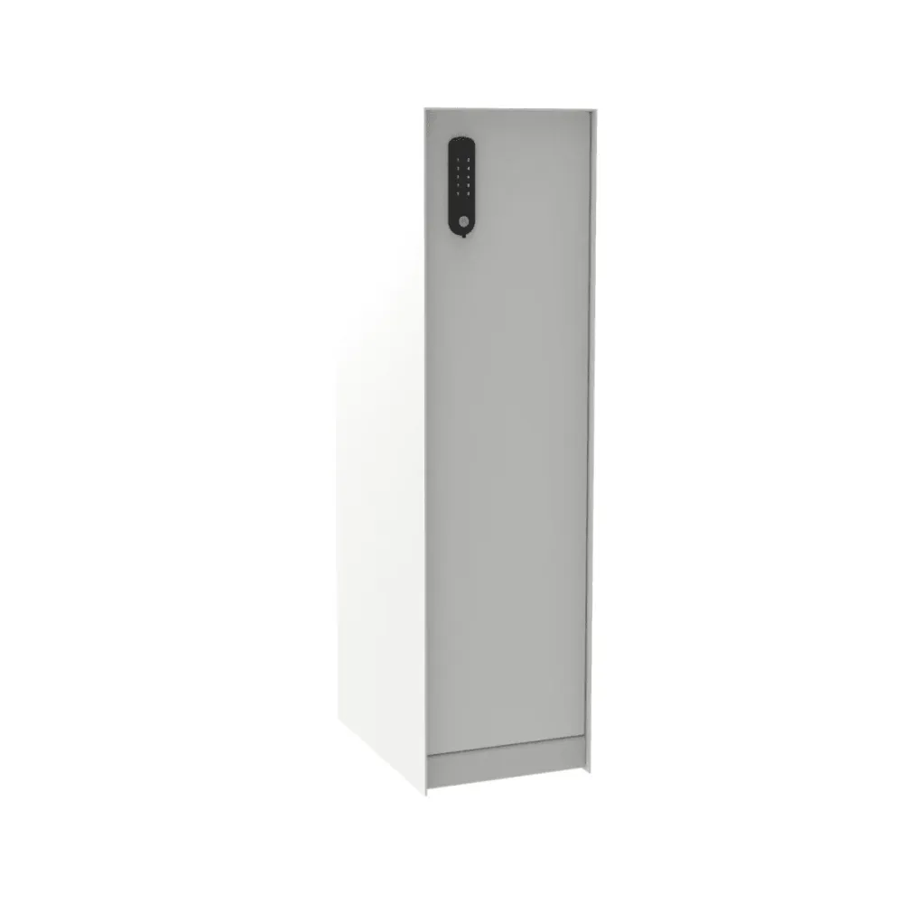 Boîte aux lettres eSafe Nexus Parcel blanc signalisation RAL 9016