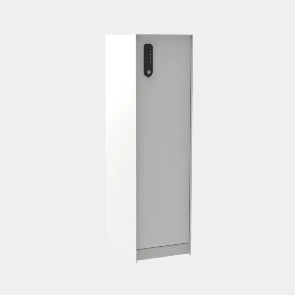 Boîte aux lettres eSafe Nexus Parcel blanc signalisation RAL 9016