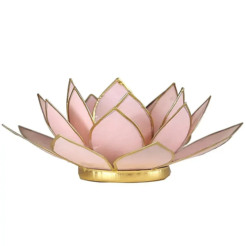 Bougeoir rose rose Fleur de lotus des Philippines avec des coquilles capiz