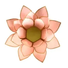 Bougeoir rose rose Fleur de lotus des Philippines avec des coquilles capiz