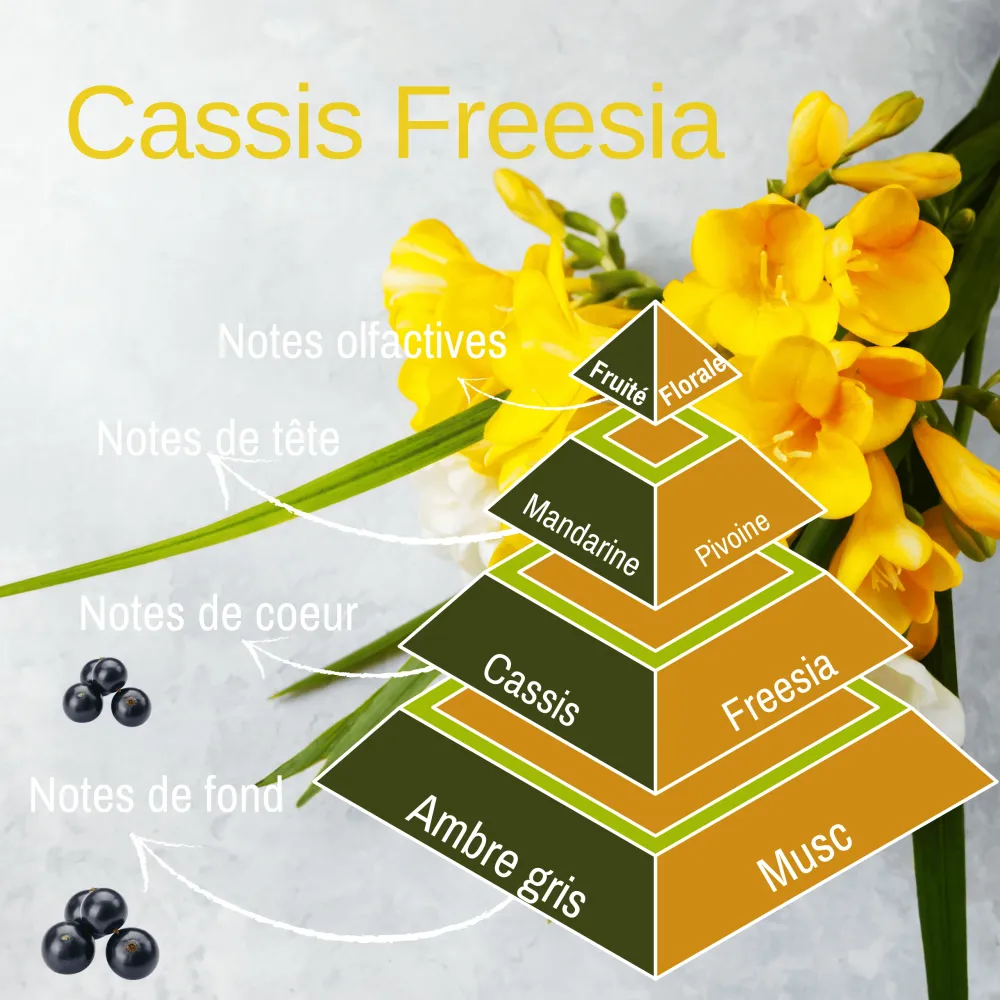Bougie 330gr - Cassis Freesia