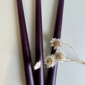 Bougie aubergine