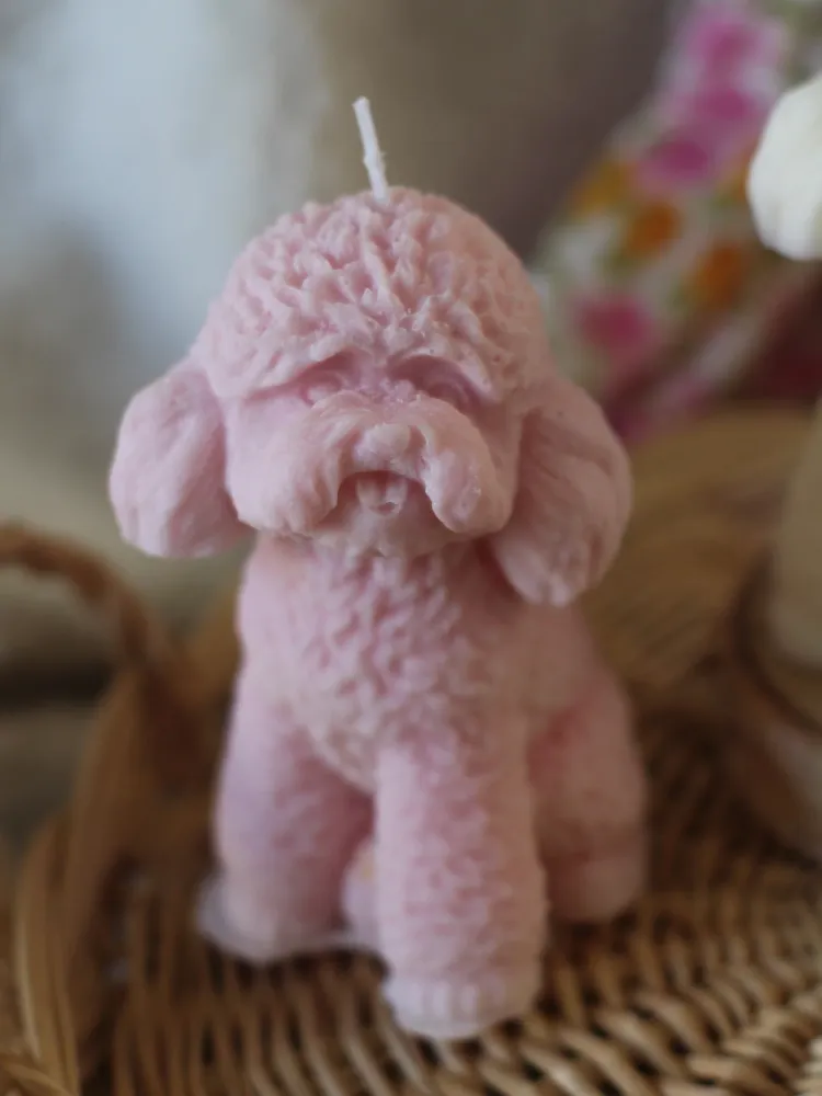 Bougie Caniche