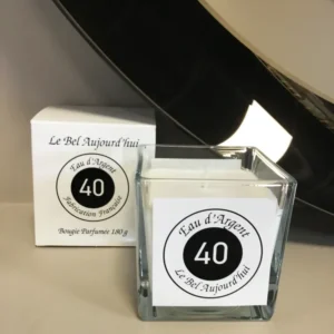 Bougie Cuir de Russie n°49