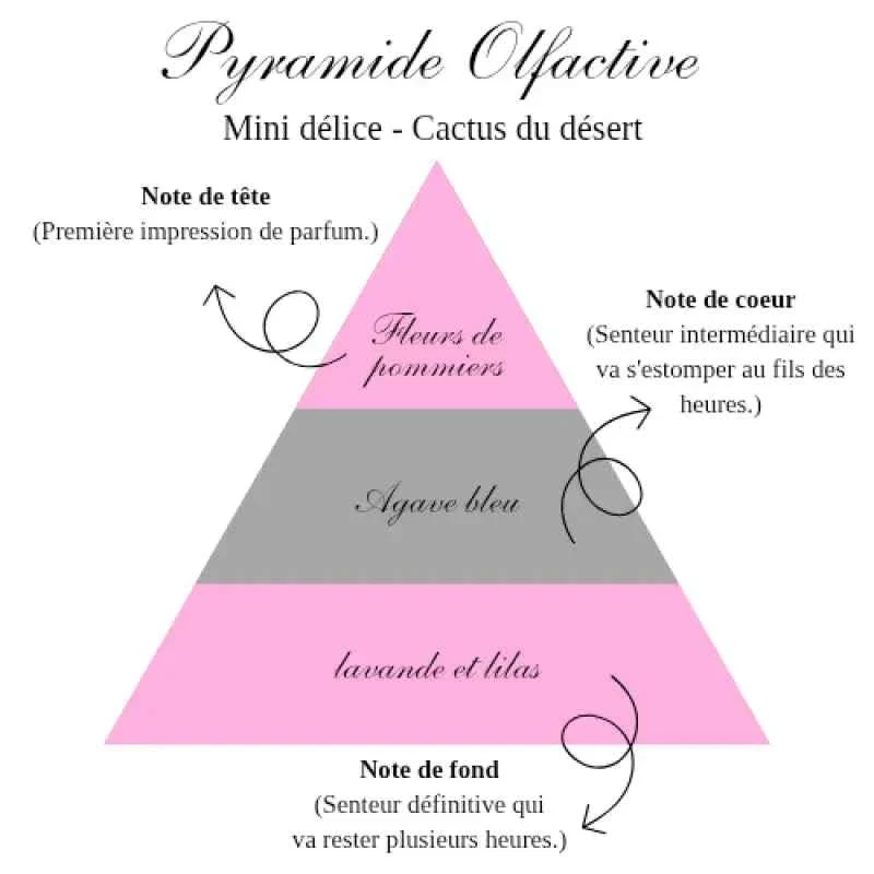 La bougie gourmande mini délice - Cactus du désert Bougie d'Ève