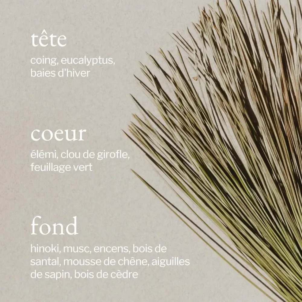 Bougie de soja écoloque - Eucalyptus, Menthe & Romarin