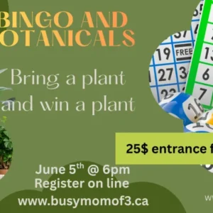 Bingo et plantes Boutique de ballon BM3