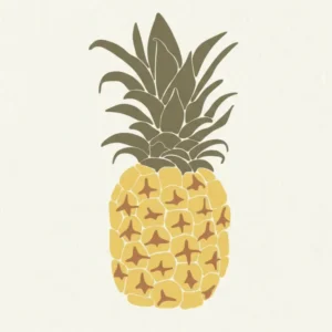 Fragrance naturelle ananas Boutique Lovli