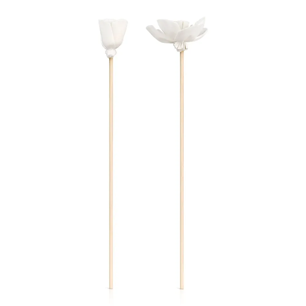 Bâtonnets de diffusion Fleurs