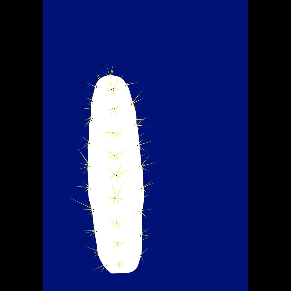 CACTUS BLEU | AFFICHES | Camilla Hjerl | HeyThereSalut