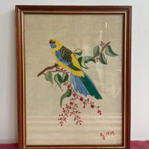 Cadre broderie perroquet