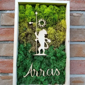 Cadre végétal stabilisé lion d'Arras 38x25cm