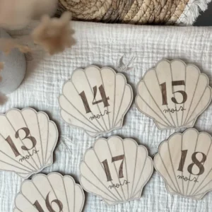 Cartes étapes coquillage - Deuxième année - 13 à 24 mois