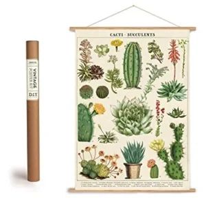 Cavallini Poster vintage avec baguettes en bois (cadre) et ficelle pour suspension Motif cactus