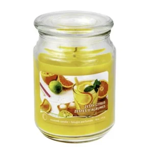 Chandelle pot en vitre 18 oz zestes d'agrumes
