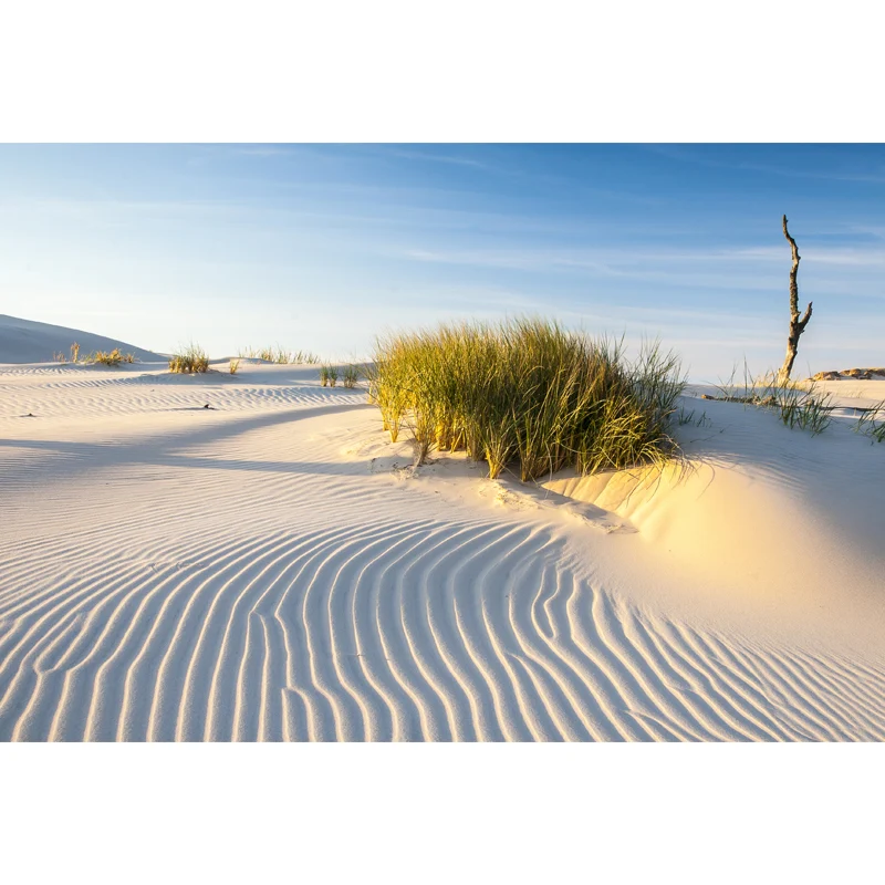 Autocollant mural Big Desert Grass blanc, Art mural intissé, lavable, personnalisé Clearhalo