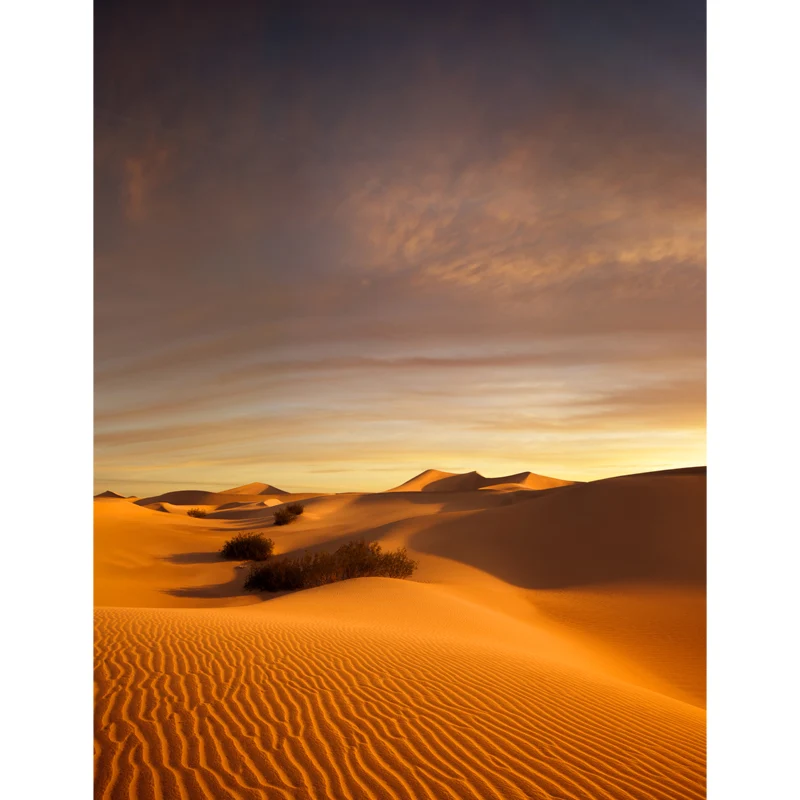 Décoration murale moderne non tissée jaune, paysage de dunes du désert et de ciel nocturne, taille personnalisée Clearhalo