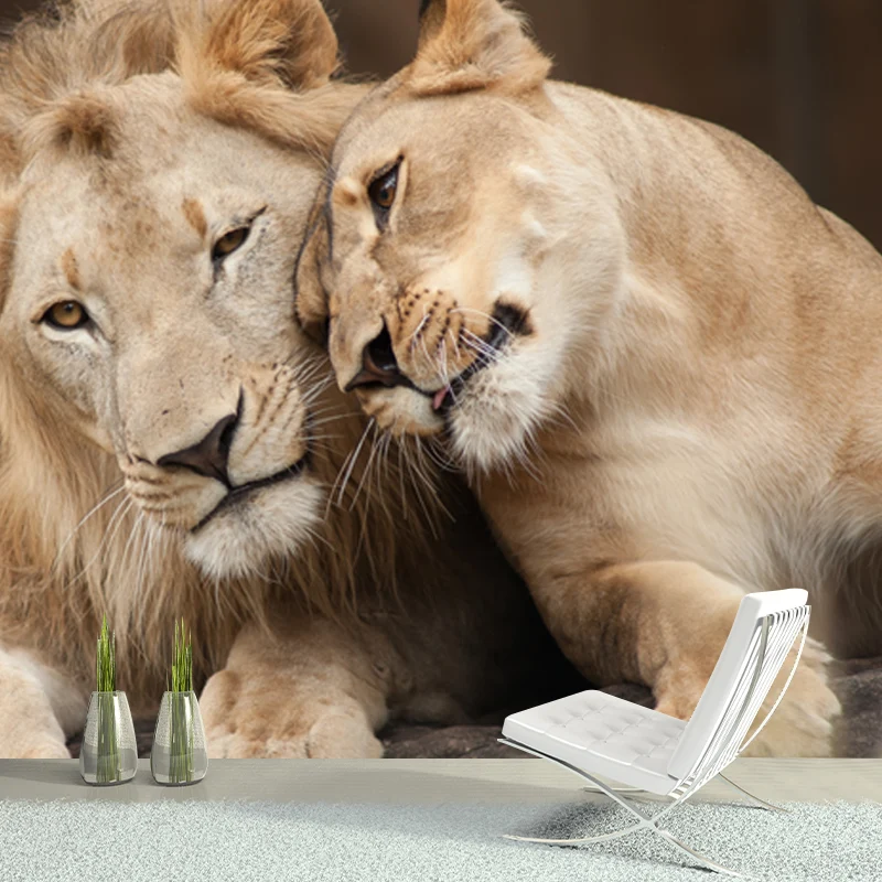 Papier peint mural Lion amoureux marron, art mural imperméabilisant pour le salon, sur mesure Clearhalo