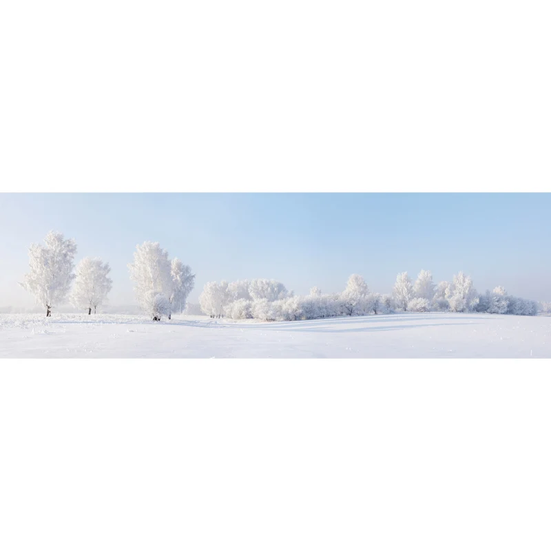 Peinture murale de paysage Extra Large, Art mural nordique du monde de la neige pure en blanc pour le salon Clearhalo