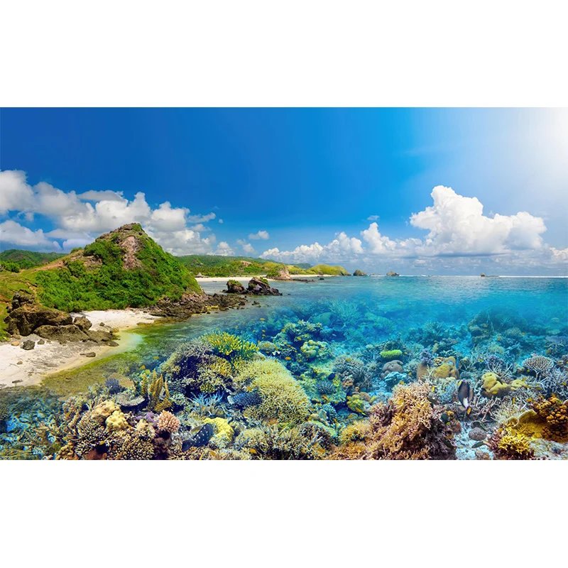 Superbe peinture murale du monde sous-marin pour chambre d'enfant, paysage marin, faite sur mesure Clearhalo