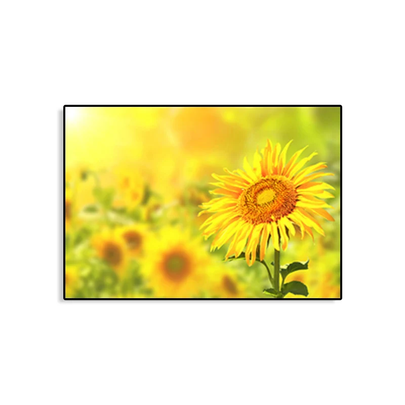 Toile de tournesol texturée, décoration murale moderniste pour chambre de fille, plusieurs tailles Clearhalo