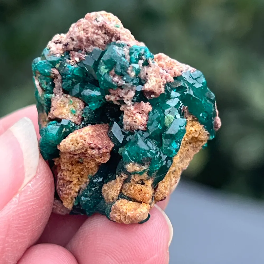 Cluster dioptaz au Congo modèle 8