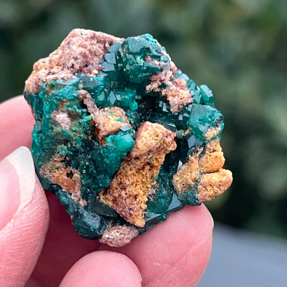 Cluster dioptaz au Congo modèle 8