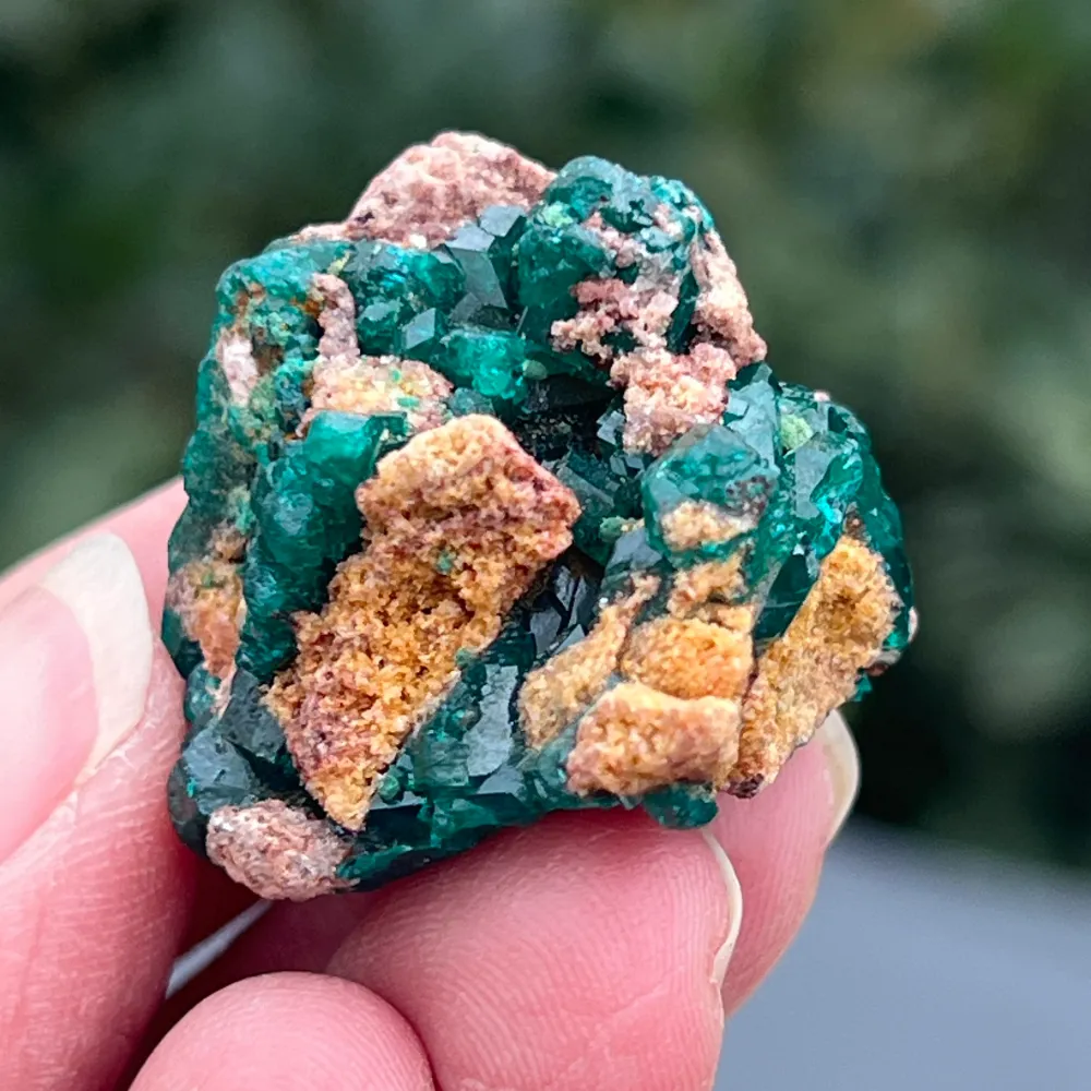 Cluster dioptaz au Congo modèle 8