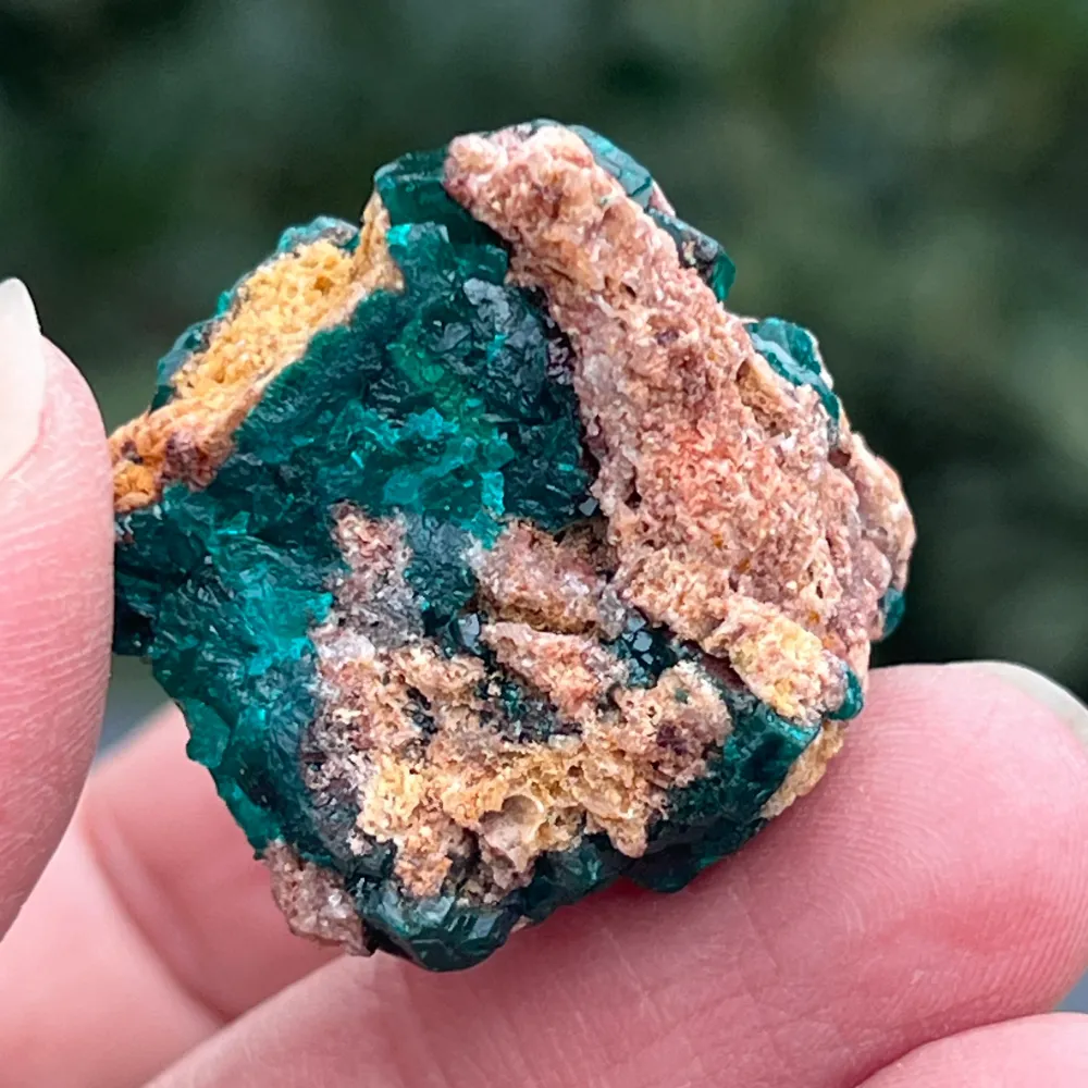 Cluster dioptaz au Congo modèle 8