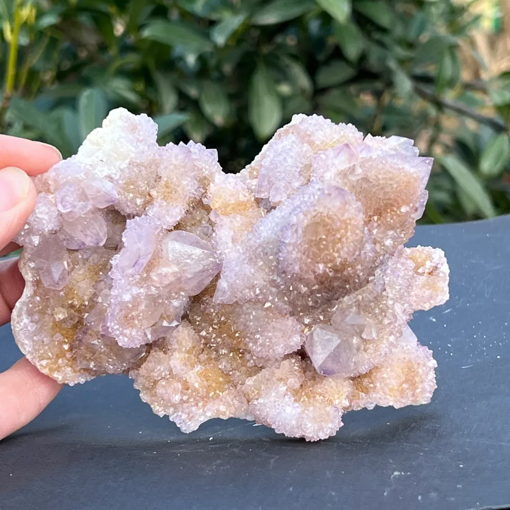 Cluster Quartz Cactus Afrique du Sud Modèle 106