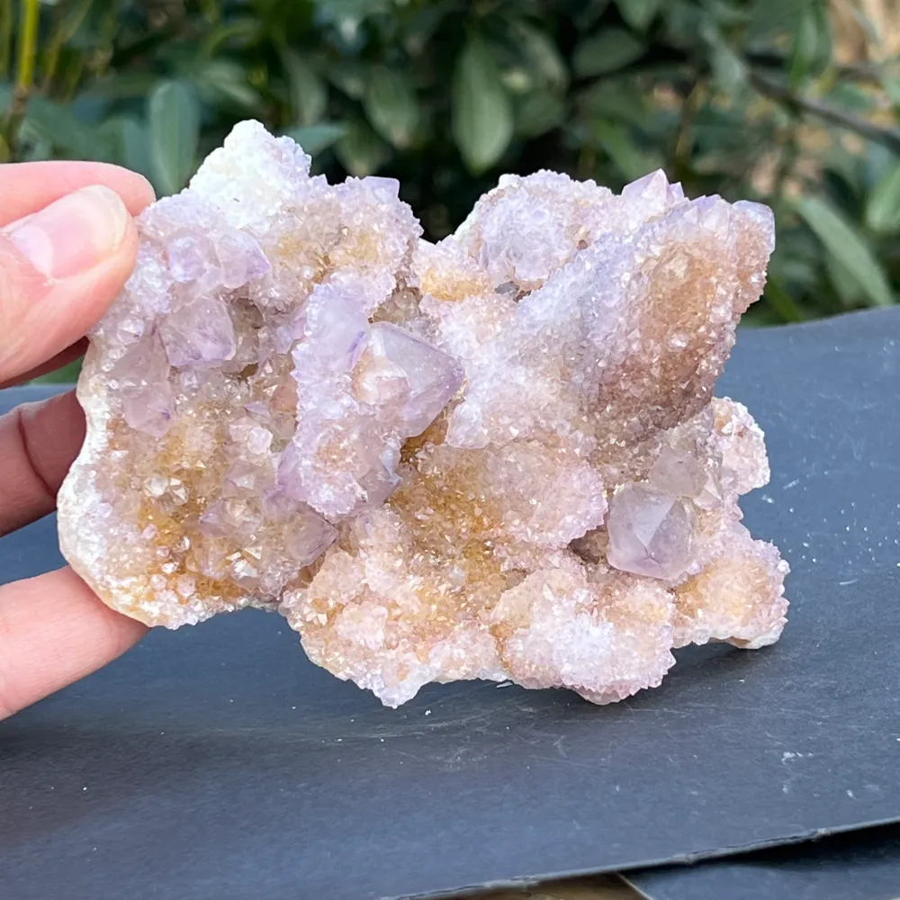 Cluster Quartz Cactus Afrique du Sud Modèle 106