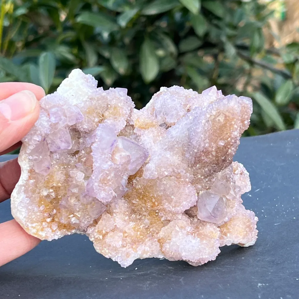 Cluster Quartz Cactus Afrique du Sud Modèle 106