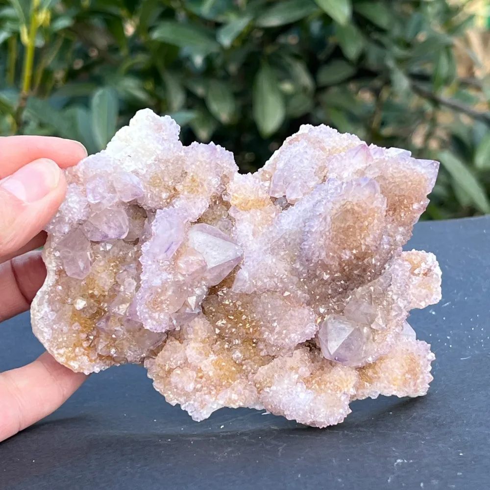 Cluster Quartz Cactus Afrique du Sud Modèle 106
