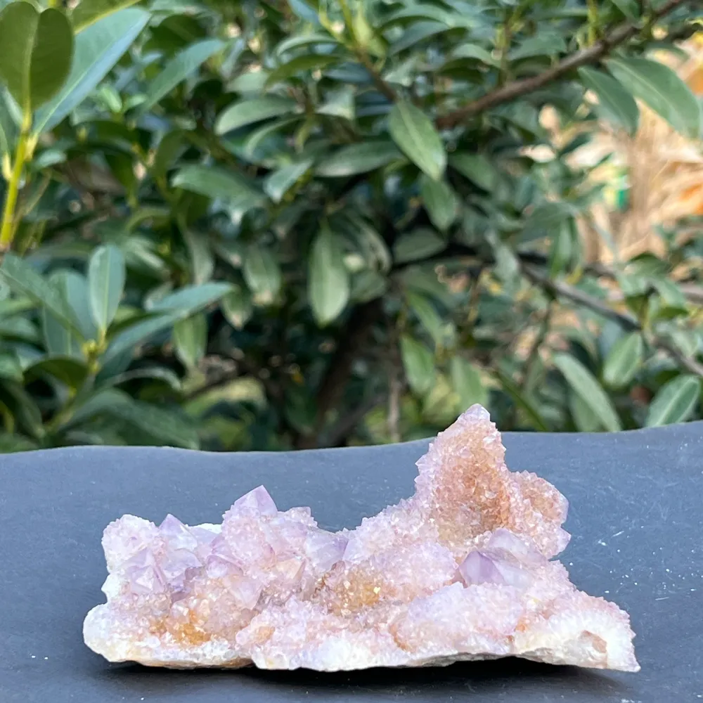 Cluster Quartz Cactus Afrique du Sud Modèle 106