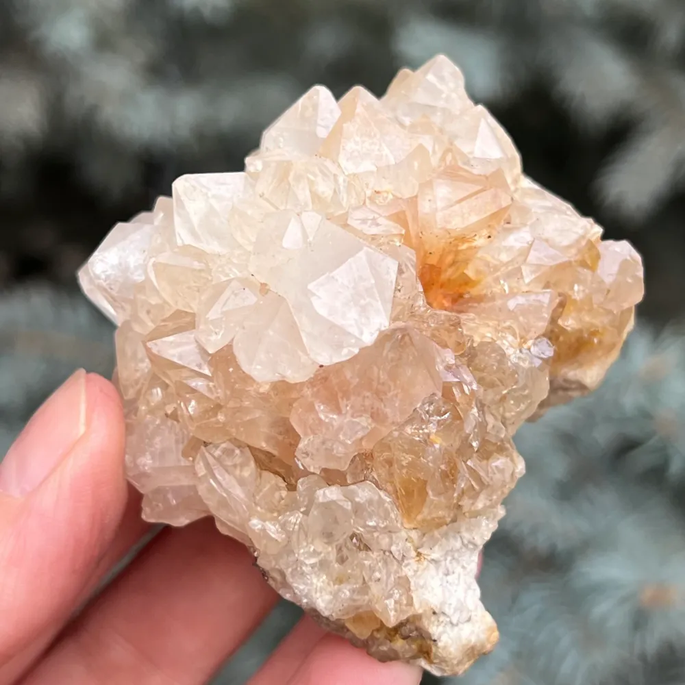 Cluster quartz cactus / quartz esprit modèle 41