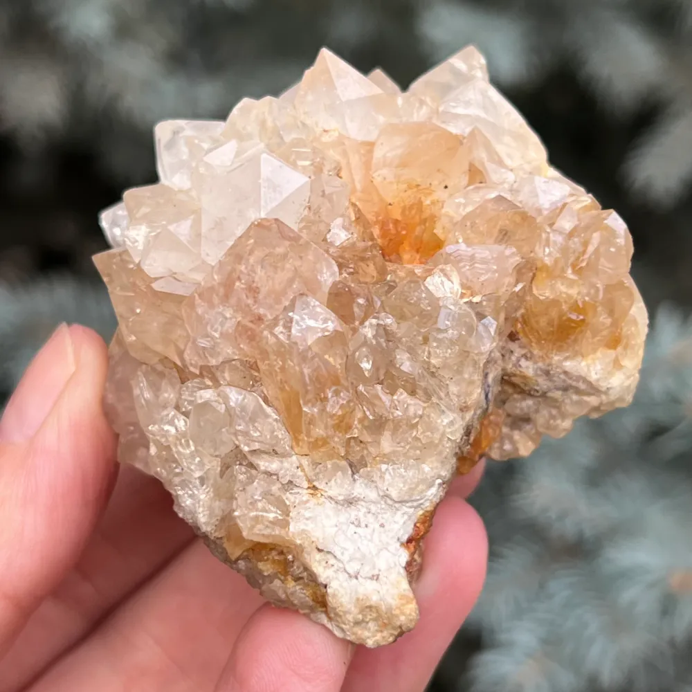 Cluster quartz cactus / quartz esprit modèle 41