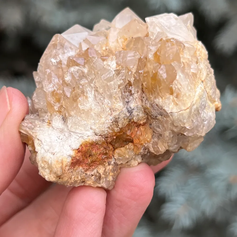 Cluster quartz cactus / quartz esprit modèle 41