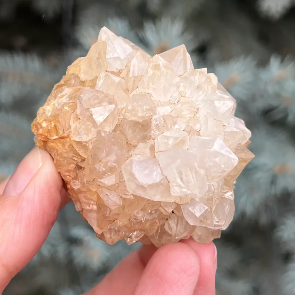 Cluster quartz cactus / quartz esprit modèle 41
